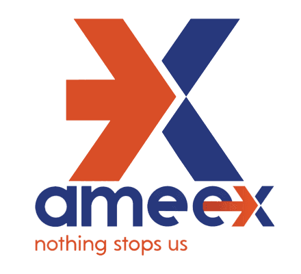 Partner logo ameex.png